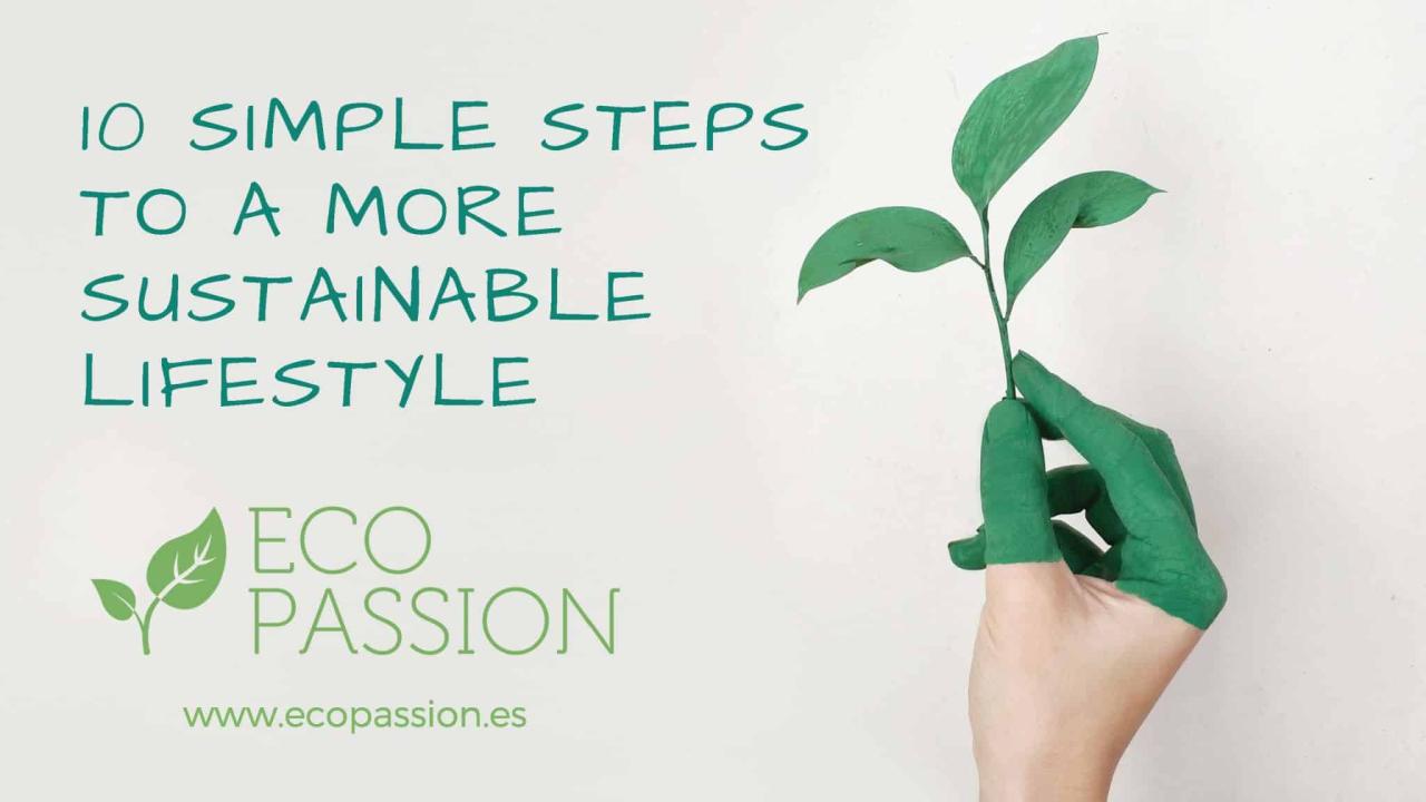 Steps To Achieve A Sustainable Lifestyle Effectively