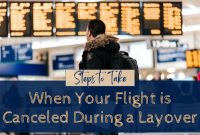 What To Do If Your Flight Gets Canceled