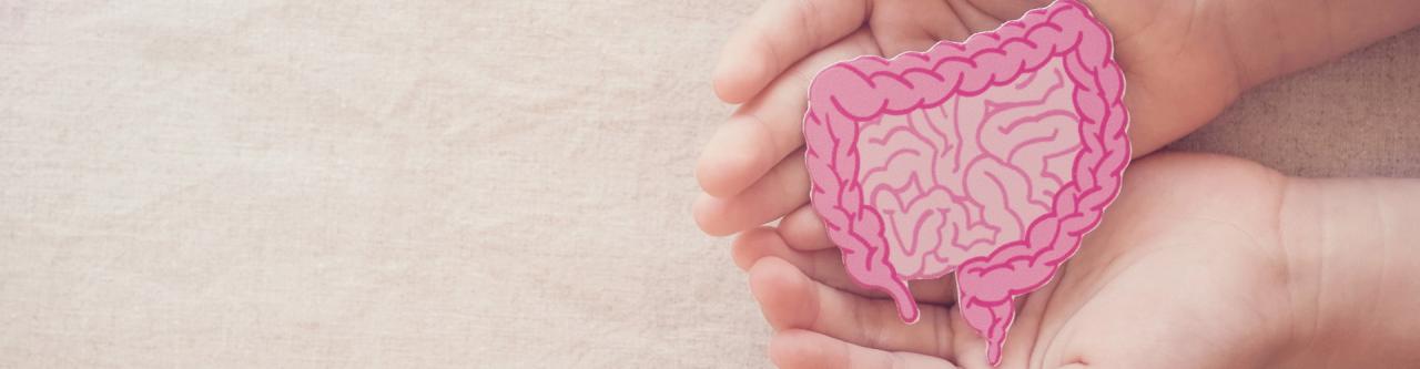 How To Improve Your Gut Health Naturally | See Our Best Tips How To Improve Gut Health Naturally At Home