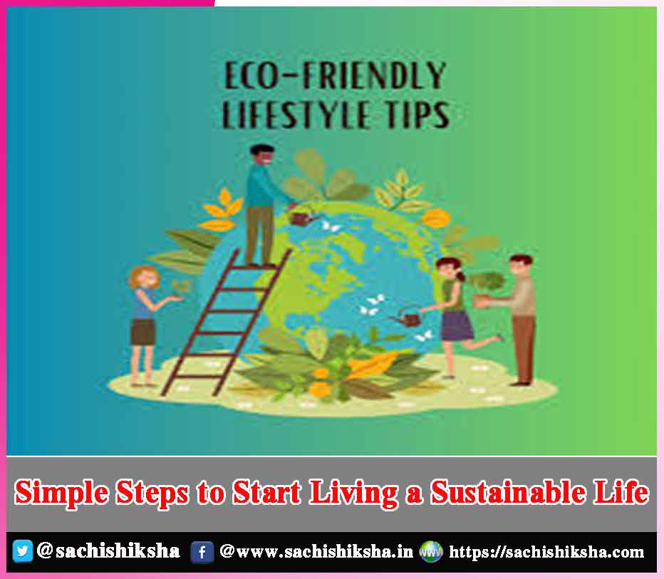 Steps To Achieve A Sustainable Lifestyle Effectively