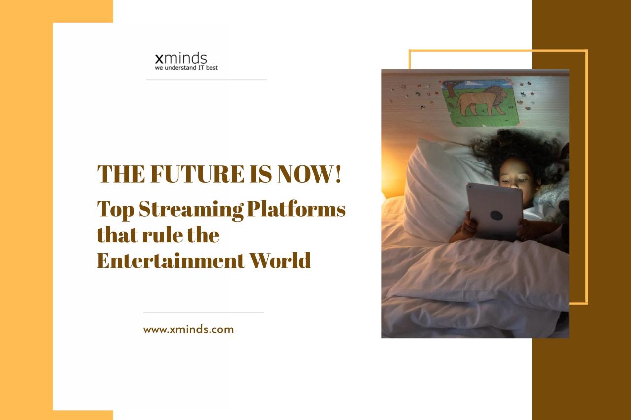 What Are The Differences Between Various Streaming Platforms