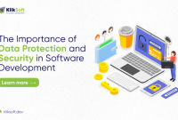 How To Ensure Software Security And Data Privacy