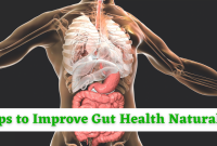 7 Effective Ways To Improve Gut Health Naturally