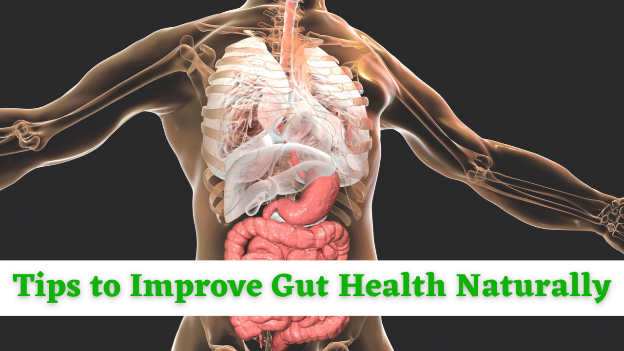 7 Effective Ways To Improve Gut Health Naturally 7 Effective Ways To Improve Gut Health Naturally