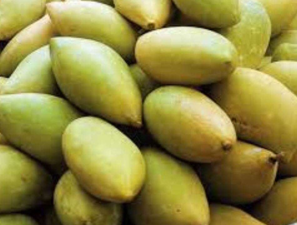 Langra Mango Exporters from India Best Apps For Creating Mobile Game Graphics